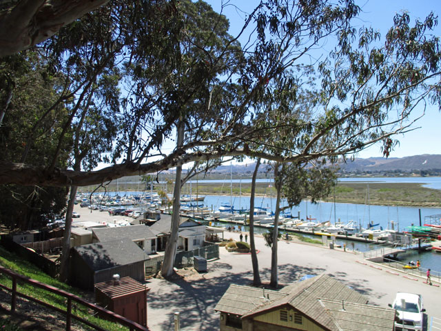 07-04-morro-bay-marina.jpg