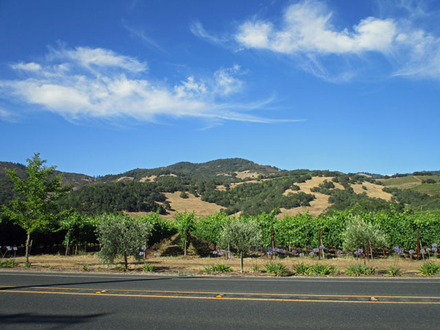 06-28-anderson-valley.jpg